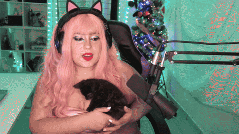 Black Cat Good Luck GIF