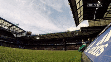 cfc conte GIF by Chelsea FC