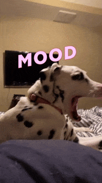 Robinsonlyonsrealtygroup mood mad dogs scream GIF