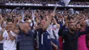 london football GIF by Tottenham Hotspur