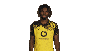 Borussia Dortmund Chukwuemeka Sticker by Bundesliga