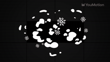 Snow Blasts