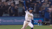 Celebrate Home Run GIF by MLB