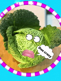 Cabbage Wirsing GIF