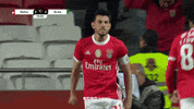 Sl Benfica Hug GIF by Sport Lisboa e Benfica