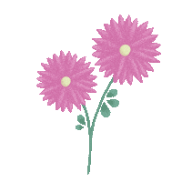 Baby Flowers Sticker by Eat Play Say