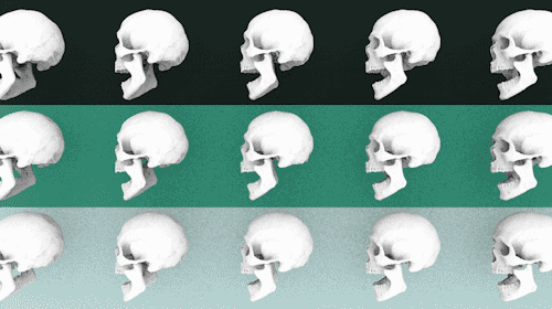 Infinite Loop Skull GIF by CmdrKitten