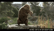 beaver GIF