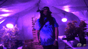 Music Video Orange GIF by Casanova Records