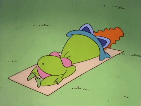 rockos modern life nicksplat GIF