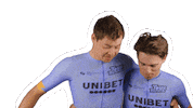 Cycling Harry Sticker by Tour de Tietema