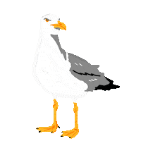 Beach Day Summer Sticker by megan lockhart