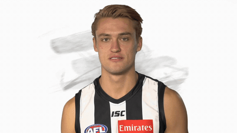 excited football GIF by CollingwoodFC