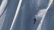 Nat Geo Sport GIF by National Geographic Channel