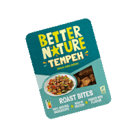 Plant-Based Tempeh Sticker by Better Nature