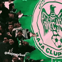 Curva Sud GIF