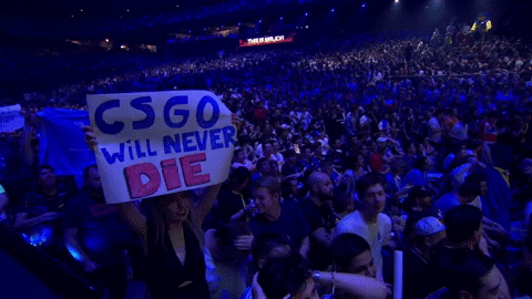 Counter-Strike GIF by dignitas