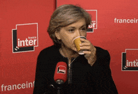 valerie pecresse wtf GIF by franceinfo