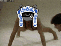 Culture Push GIF