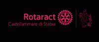 rotaractdistretto2100  GIF