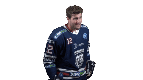 Ice Hockey Sticker by Fehervar AV19