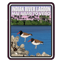 Aquatic Preserve Sticker by FLDEP
