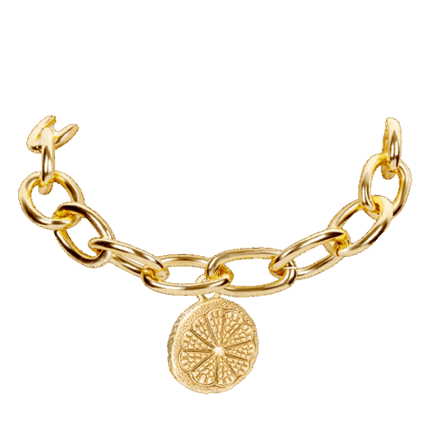 Blinged Out Chicken Wings Sticker by Henrietta Said