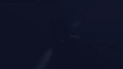 yaz tlktv GIF