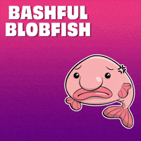 Hidden Gem Fish GIF by VeeFriends