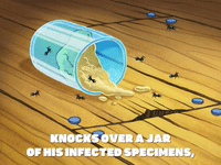 season 8 mermaid man begins GIF by SpongeBob SquarePants