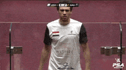 The Artist Squash GIF by PSA