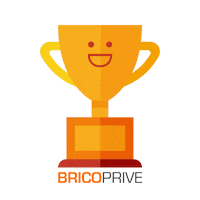 Bricoprive coupe bricolage bricoprive bricocoupe Sticker