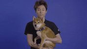 Dog Bb GIF by ANDBOX