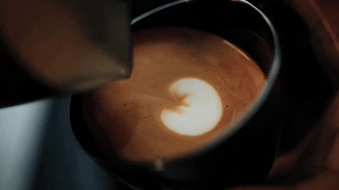 catunambu_cl giphyupload GIF