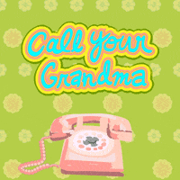 Election 2020 Phone GIF by #GoVote