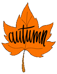 Autumn Newfallz Sticker by zoellabeauty