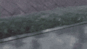 Persona 4 GIF