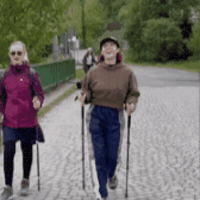 Walk GIF