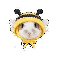 purinntabeyo love animal sweet pretty Sticker