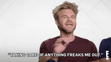 Justin Anderson Adult GIF by E!