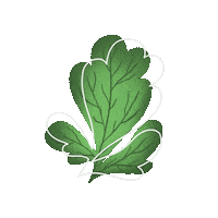assenavGIF assenav zoldseg spenót Sticker