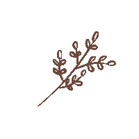 Donut Shopee Sticker