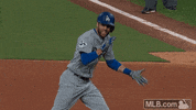 world series 2017 sport GIF by MLB