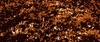 glitter gold GIF by Thalia de Jong