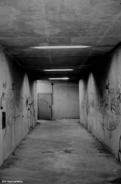 hallway GIF