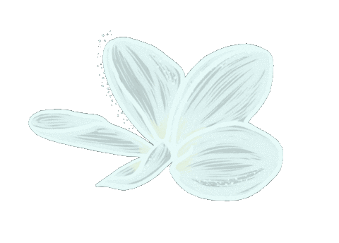 7aceInsightArtistry summer flower stickers whiteflower Sticker