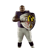 Brandon Williams Football Sticker by Baltimore Ravens