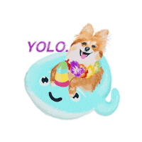 Summer Yolo Sticker by Honey Boo Designs