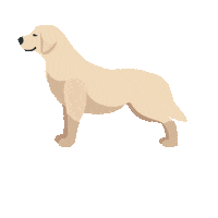 Dog Puppy Sticker by Kabene Jeans