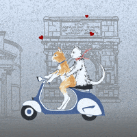 valentine's day love GIF by Studio 360